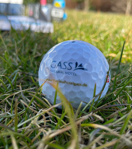 Golfball mit logo vom Haus im grünen Gras