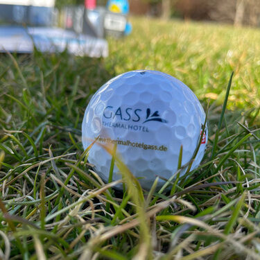 Golfball mit logo vom Haus im grünen Gras