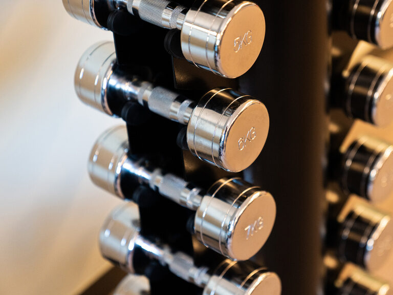 hantel in silber und in verschiedenen gewichtsklassen